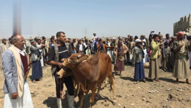 شبكة اليمن الجديد الإعلامية: صلح قبلي يطوي ملف قضية قتل بين آل الموشكي وآل العمدي في عمران