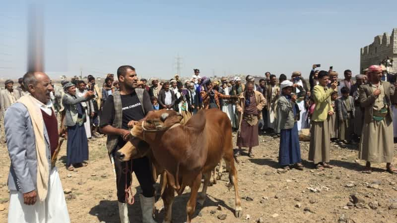 شبكة اليمن الجديد الإعلامية: صلح قبلي يطوي ملف قضية قتل بين آل الموشكي وآل العمدي في عمران