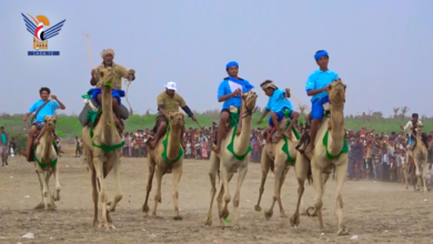 مهرجان كرنفالي تراثي شعبي لموسم التمور في النخيلة بالحديدة