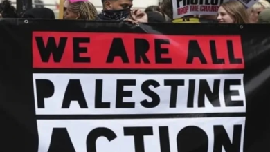 “الأمم المتحدة لحقوق الإنسان” تندد بتصنيف أمريكا “فلسطين أكشن” منظمة إرهابية